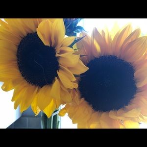 Meet your Posher, Kara